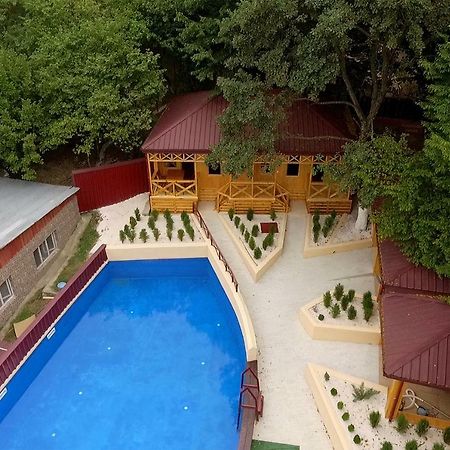 Bed and Breakfast Nikala Telavi Exteriér fotografie