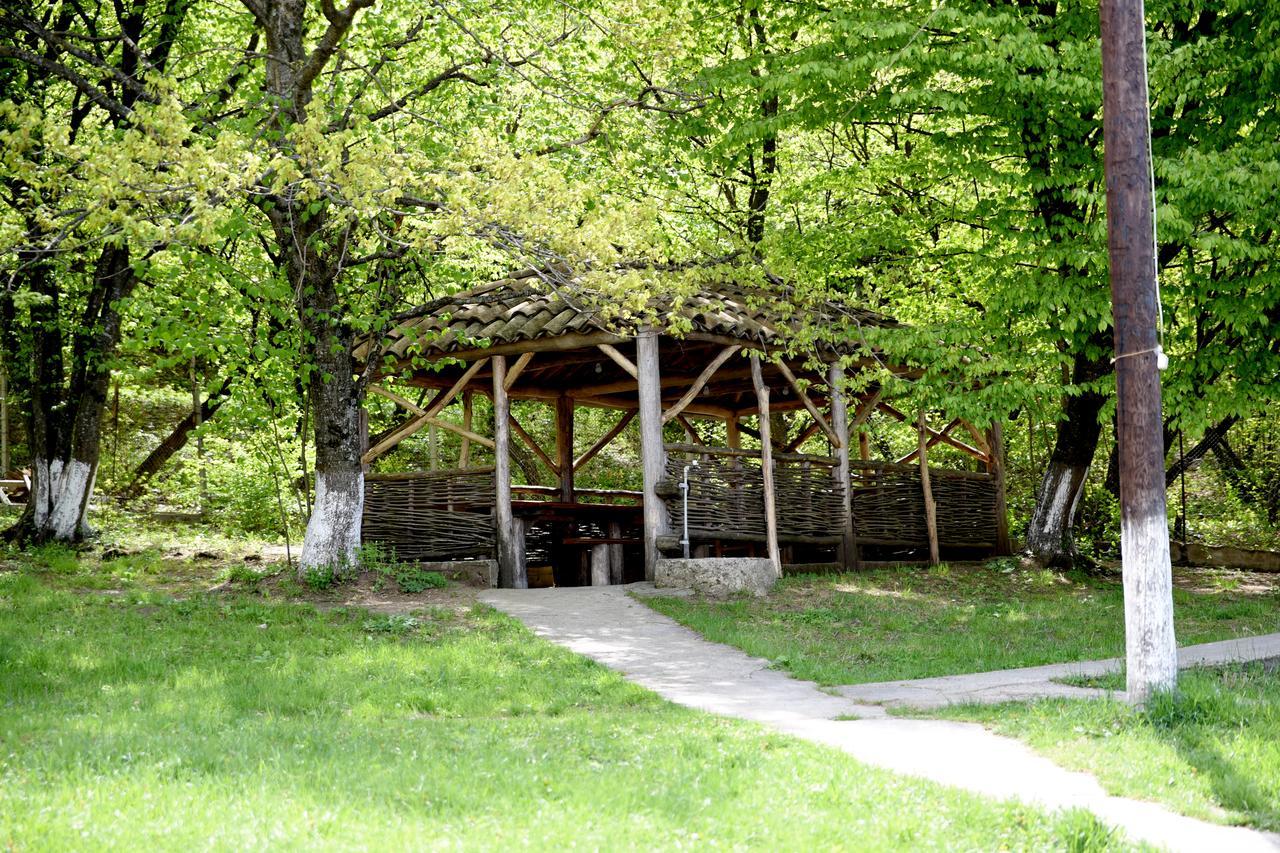 Bed and Breakfast Nikala Telavi Exteriér fotografie