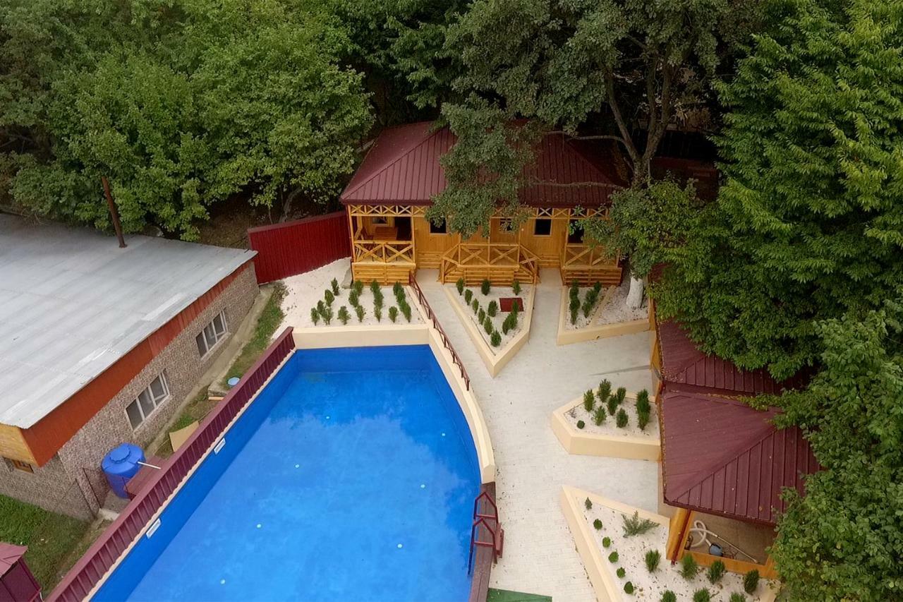 Bed and Breakfast Nikala Telavi Exteriér fotografie