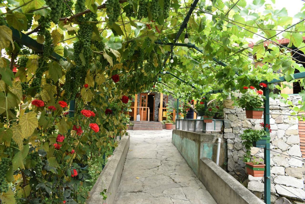 Bed and Breakfast Nikala Telavi Exteriér fotografie